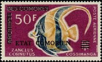 Moorish Idol (Zanclus cornutus) overprinted