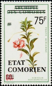 Hibiscus schizopetalus overprinted and surcharged