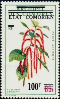 Acalypha sanderii overprinted and surcharged