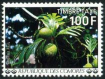 Breadfruit