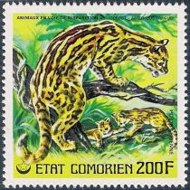 Ocelot (Felis pardalis)