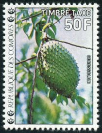 Custard apple (Annona muricata)