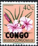 Ipomoea filicaulis overprinted CONGO