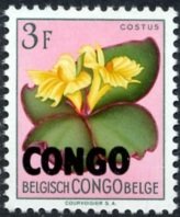 Costus spectabilis overprinted CONGO