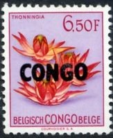 Thonningia overprinted CONGO