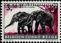 African Bush Elephants overprinted CONGO, surcharged