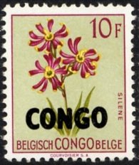 Silene burchellii overprinted CONGO