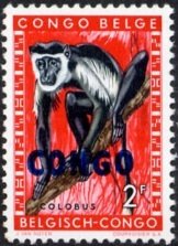 Mantled Guereza (Colobus guereza) overprinted CONGO