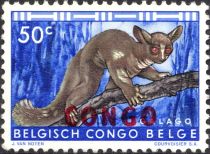 Brown Greater Galago overprinted CONGO