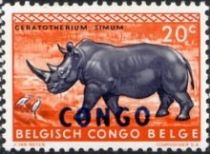 White Rhinoceros (Ceratotherium simum) overprinted CONGO