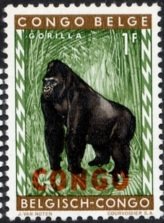 Eastern Gorilla (Gorilla beringei) overprinted CONGO