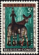 Okapi (Okapia johnstoni) overprinted CONGO