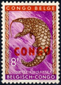 Giant Pangolin (Manis gigantea) overprinted CONGO