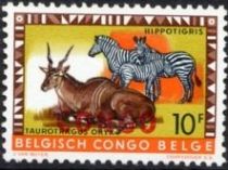 Common Eland, Plains Zebra overprinted CONGO