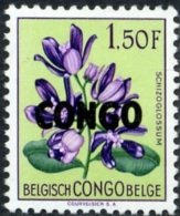 Schizoglossum eximium overprinted CONGO