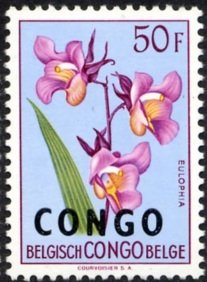 Eulophia cucullata overprinted CONGO