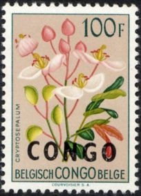 Cryptosepalum katangense overprinted CONGO