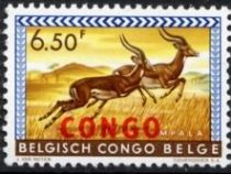 Impala (Aepyceros melampus) overprinted CONGO