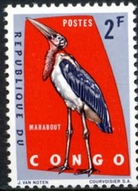 Marabou Stork (Leptoptilos crumeniferus)