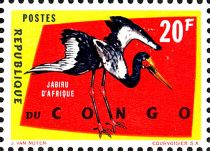 Saddle-billed Stork (Ephippiorhynchus senegalensis)