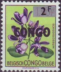 Recuperation - Schizoglossum overprint CONGO, surcharged