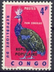 Congo Peafowl (Afropavo congensis), small overprint