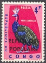 Congo Peafowl (Afropavo congensis), large overprint