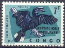 Black-casqued Hornbill (Ceratogymna atrata), small overprint