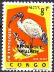 Sacred Ibis (Threskiornis aethiopicus), small overprint