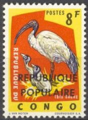 Sacred Ibis (Threskiornis aethiopicus), large overprint