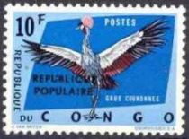 Gray Crowned Crane (Balearica regulorum), small overprint