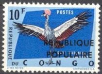 Gray Crowned Crane (Balearica regulorum), small overprint