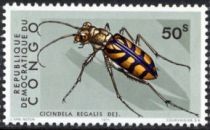 Tiger Beetle (Cicindela regalis)