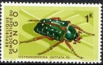 Spotted Flower Beetle (Stephanorrhina guttata)