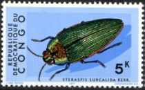 Jewel Beetle (Steraspis subcalida)