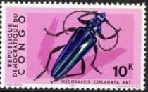 Mecosaspis Longhorn Beetle (Mecosaspis explanta)