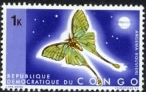 African Lunar Moth (Argema bouvieri)