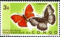 Glider Butterfly (Cymothoe reginae-elisabethae)