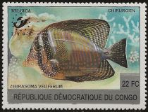 Sailfin Tang (Zebrasoma veliferum)