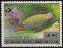 Harlequin Filefish (Oxymonacanthus longirostris)