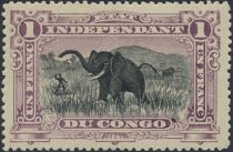 African Elephant (Loxodonta africana)