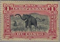 African Elephant (Loxodonta africana)