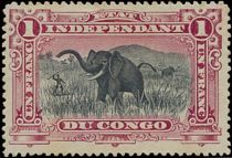 African Elephant (Loxodonta africana)