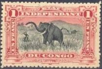 African Elephant (Loxodonta africana)