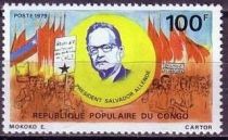 Salvador Allende, Flags & Demonstrator