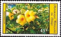 Allamanda