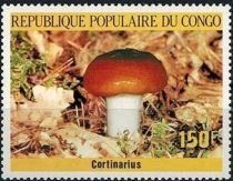 Cortinarius