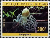 Dictyophora