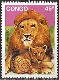 Lion (Panthera leo)