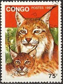 Eurasian Lynx (Lynx lynx)